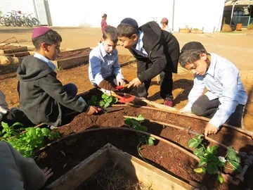 שיעורי חקלאות
